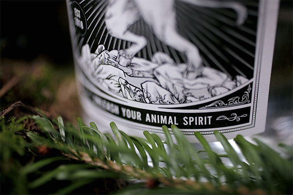 Ginzoo Visual Portfolio 02