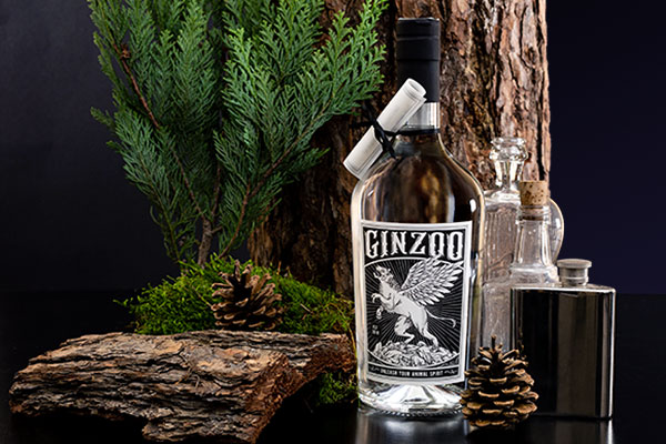Ginzoo Visual Portfolio 03bb