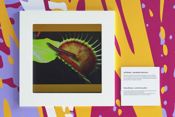 Triennale Portfolio 2