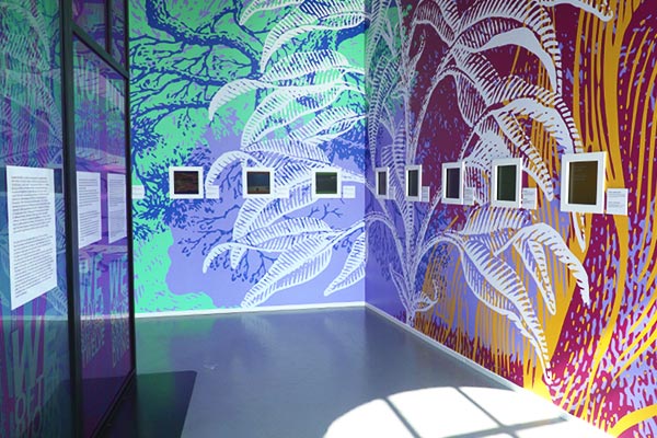 Triennale PORTFOLIO 01
