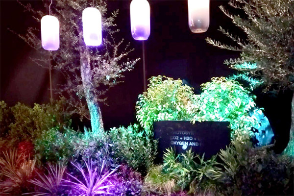 video mapping on plants for Artemide
