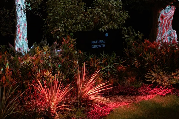 video projection on trees for Artemide - milan design week