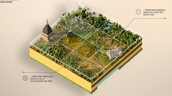 Ovestsesia Portfolio 7 B