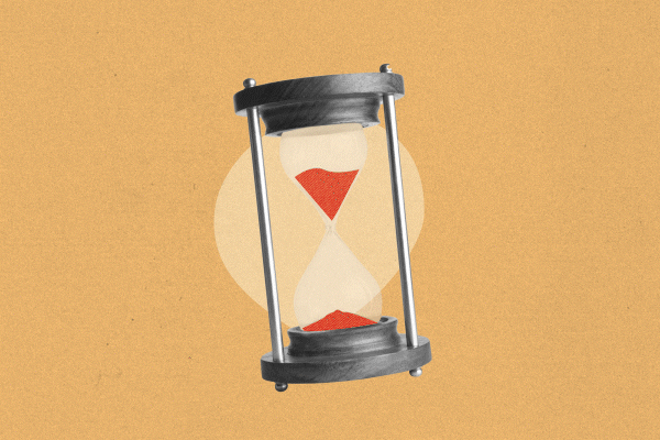 Alphatest Cromazoo Portfolio GIF 02