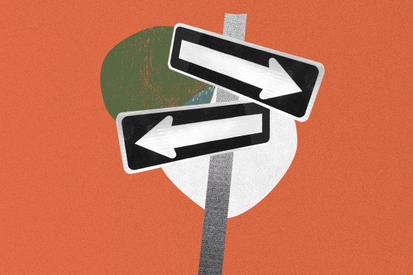 Alphatest Cromazoo Portfolio GIF 04