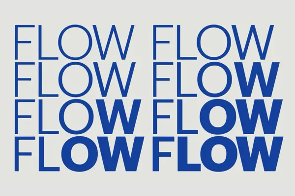 FLOW Cromazoo PORTFOLIO 02